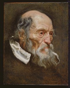Portret van een oude man